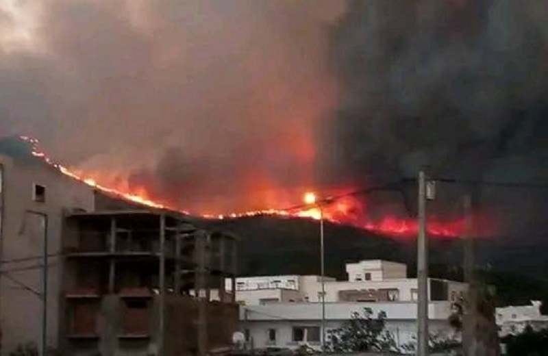 حريق جبل بوقرنين/ معز تريعة: في هذه الحالة سنقوم بإجلاء سكان المناطق المجاورة