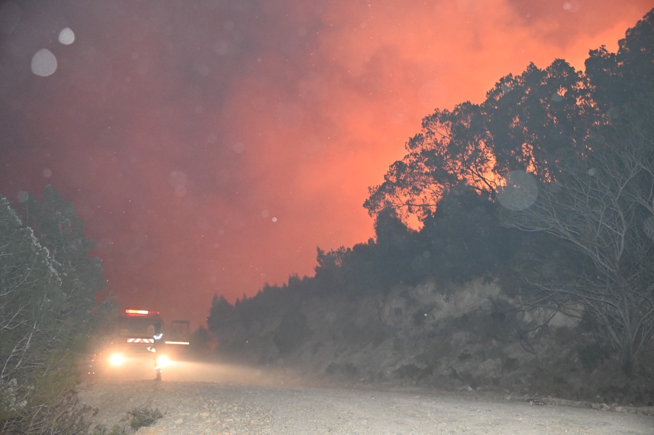 وزارة الفلاحة: حريق جبل بوقرنين أتى على هذه المساحة من الغابات (صورة)