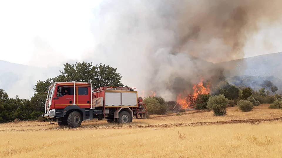 سليانة/ السيطرة على حريق بجبل وادي المالح