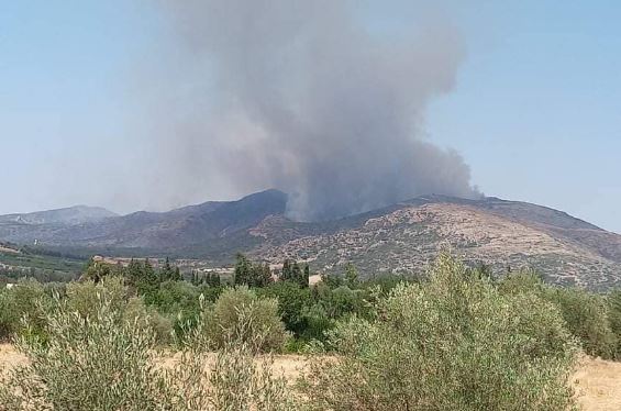 حريق جبل برقو/ النيران تقترب من المساكن ووسائل نقل لإجلاء السكان