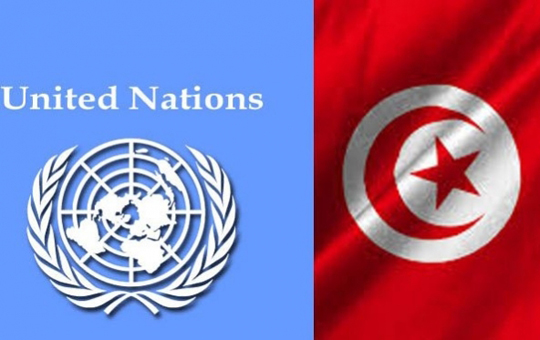 الأمم المتحدة: مسار الإصلاح الدستوري بتونس لا بد أن يستند الى سيادة القانون