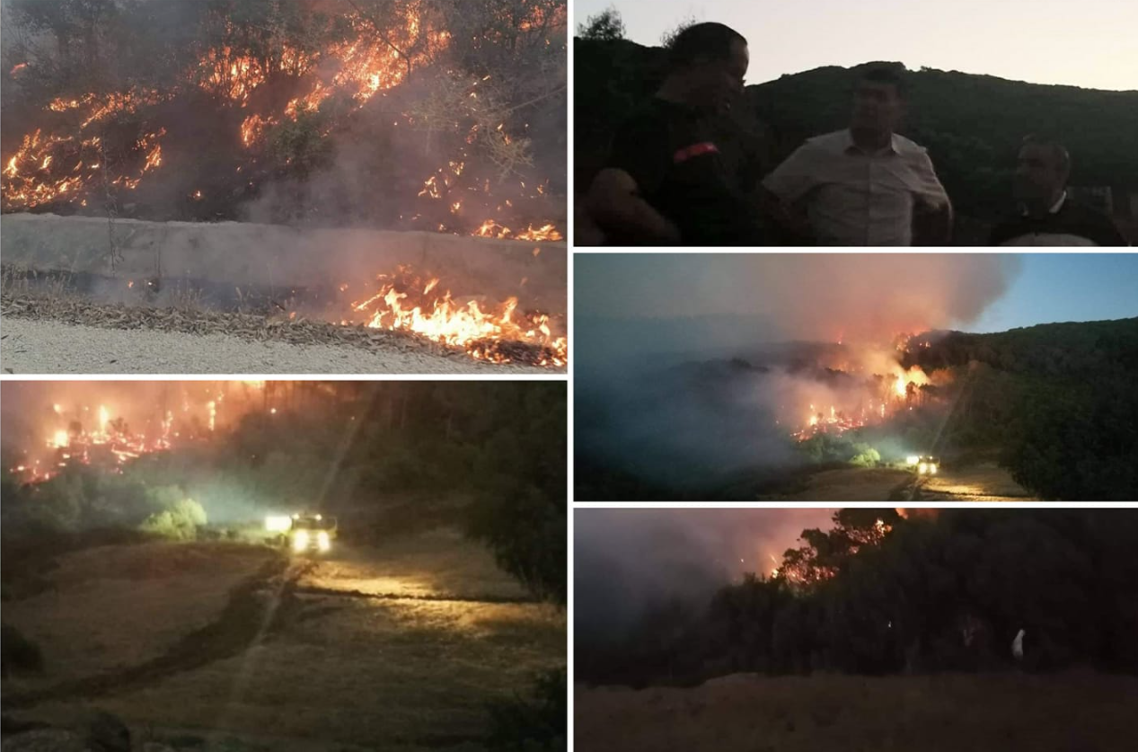 السيطرة على حريق غابة عين الكرمة ببنزرت (صور)