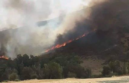 بلطة بوعوان/ نشوب حريق في غابات جبل زفلانة (فيديو)