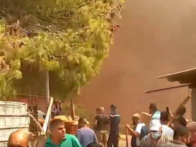 الجزائر/ النيران تلتهم المنازل (فيديو)