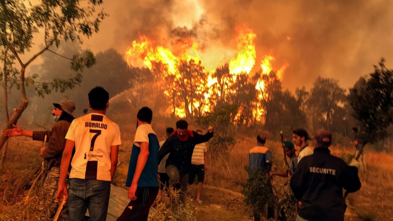الجزائر/ حصيلة ضحايا الحرائق في إرتفاع