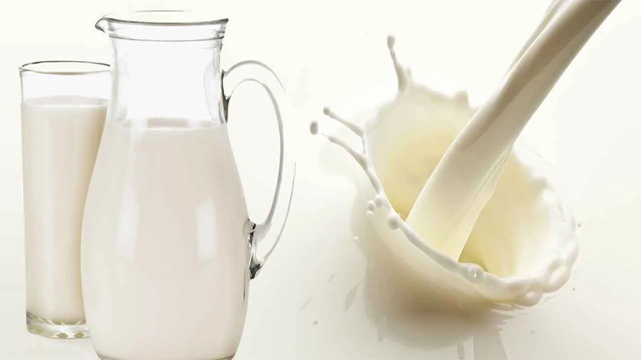 بن عياد: زيادة أسعار الحليب عند الانتاج لا تؤثّر في سعره للمواطن
