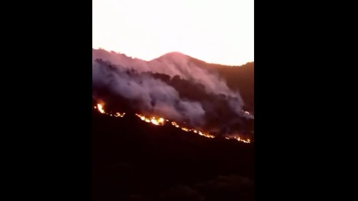 زغوان/ السيطرة على حريق هائل بجبل سيدي مدين (فيديو)