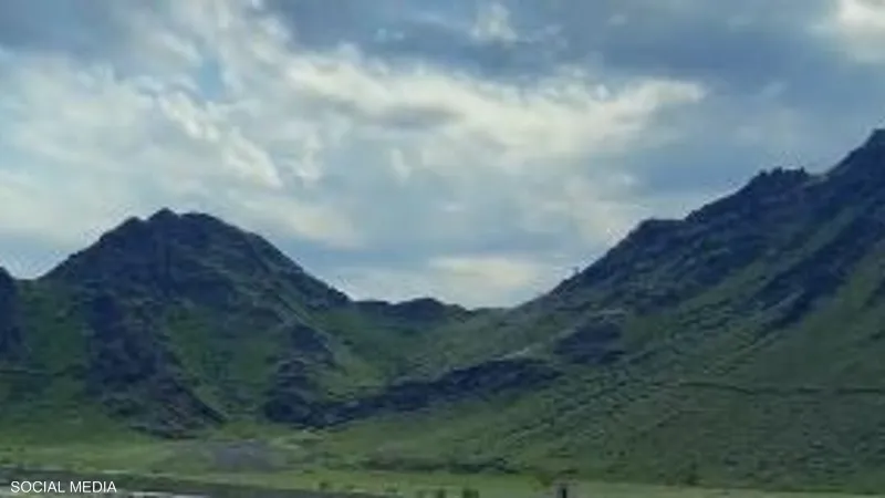 فيديو/جبال مكة المكرمة تكتسي بالأخضر