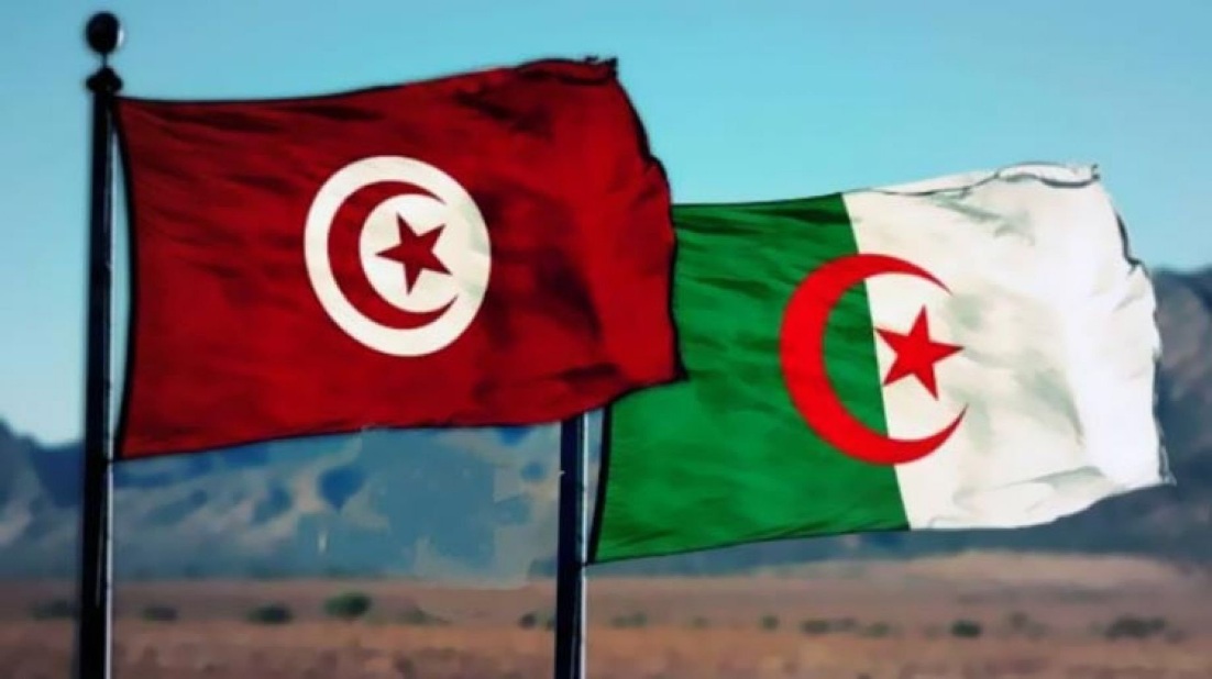الجزائر: لن ينجح هؤلاء في زعزعة العلاقات مع تونس