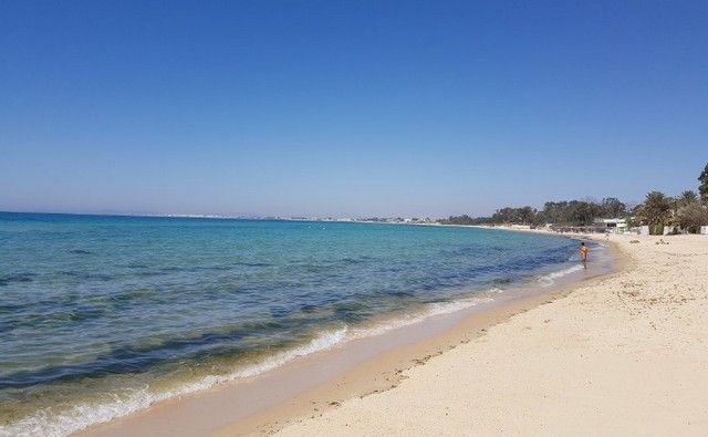 انحسار مياه البحر في المتوسط.. خبير يكشف الحقيقة (تصريح لـ”تونس الآن)