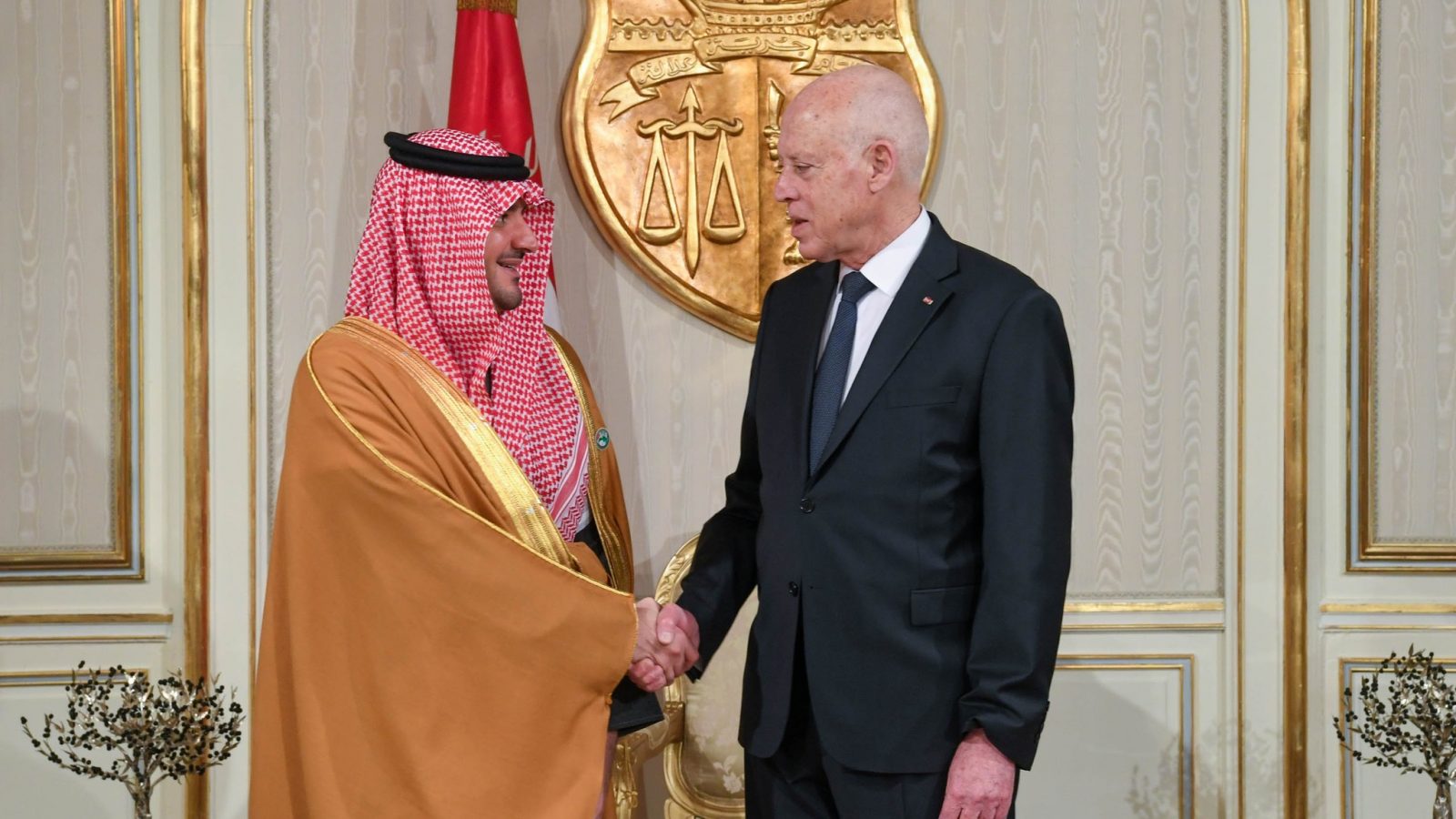 وزير الداخلية السعودي : سنواصل مساندة تونس والوقوف الى جانبها