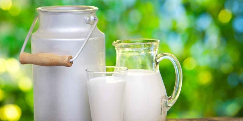 نقابة الفلاحين : الزيادة ب200 مليم في سعر الحليب غير كافية