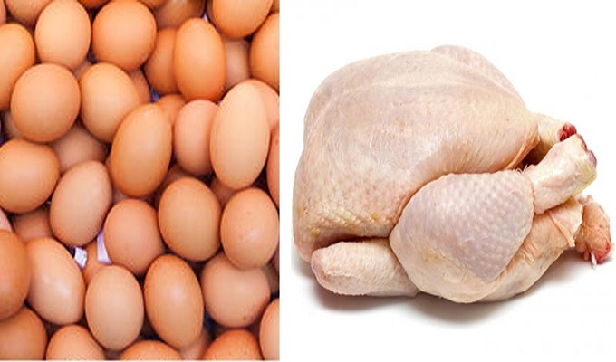 ما قصة “الكميون” المتنقل لبيع الدجاج والبيض بأسعار الكلفة ؟ ( تصريح لـ”تونس الان”)