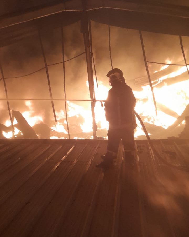 بعد انتهاء الاطفاء/ الحماية تنشر فيديو عن حريق “عقارب”