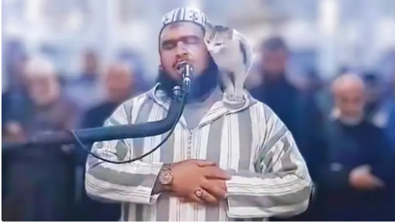 قرابة ملياري مشاهدة لفيديو الامام الجزائري والقطة