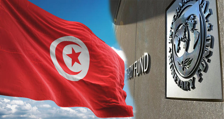الضغوطات الايطالية تعطي اكلها/ هذا ما قال النقد الدولي عن تونس