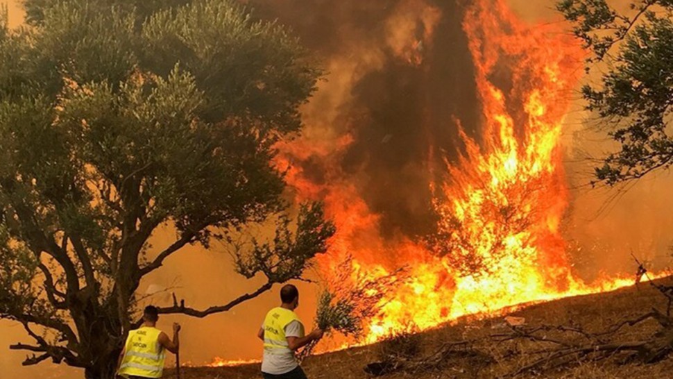 تجدّد الحرائق شرق الجزائر