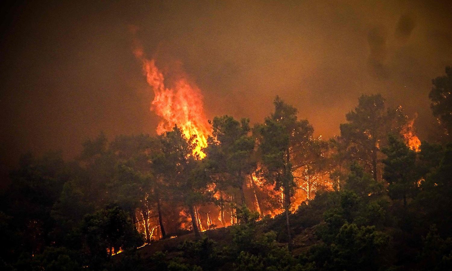 اليونان/ الحرائق تلتهم غابات جزيرة رودس وإجلاء الآلاف