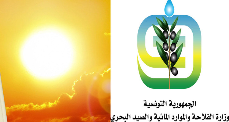 توصيات وزارة الفلاحة للحد من آثار ارتفاع درجات الحرارة