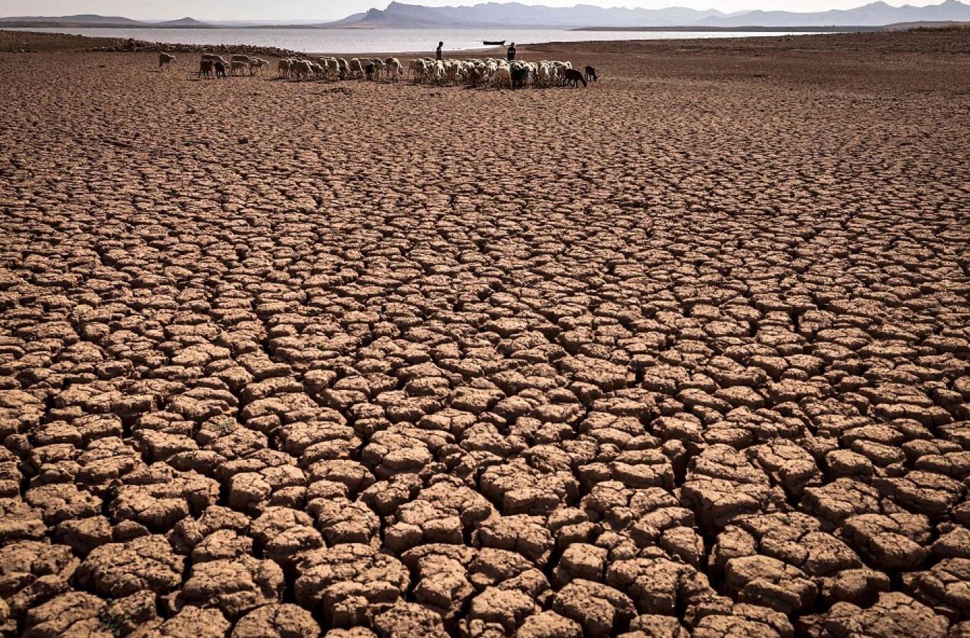 الدول الاكثر عرضة للجفاف في العالم.. ترتيب صادم لتونس