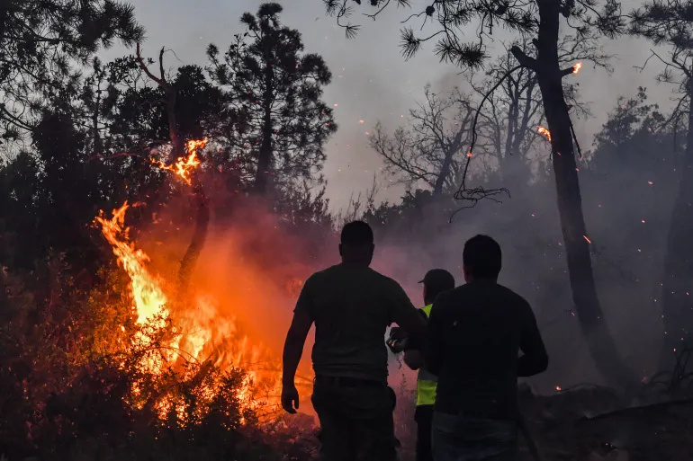 تجدّد الحرائق في غابات الجزائر