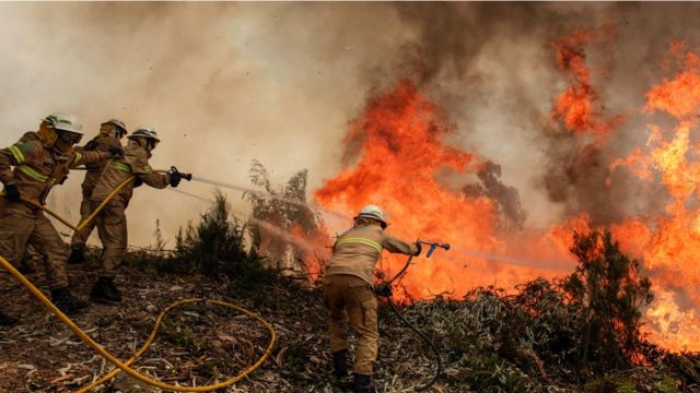 حريق هائل يلتهم غابات البرتغال