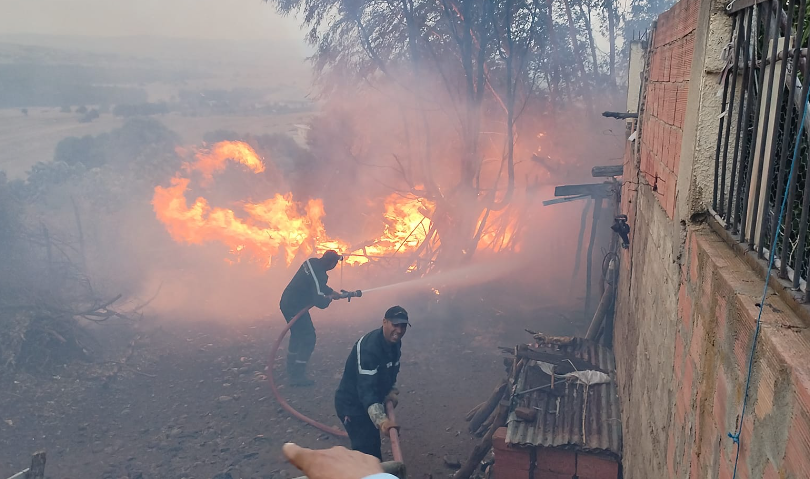حريق غابات فرنانة/ إجلاء المواطنين.. والرياح تعقد الوضع (صور)