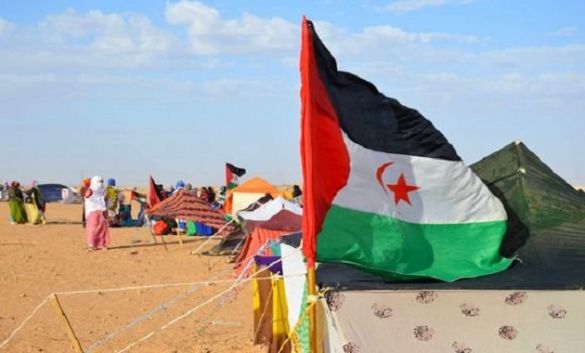 قضية الصحراء محور مباحثات جزائرية أمريكية