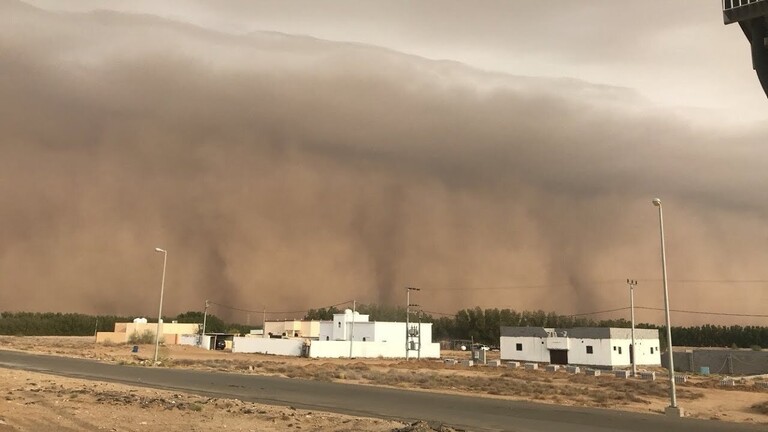 دانيال مصر