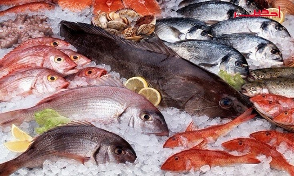 فائض في الميزان التجاري لمنتوجات الصيد البحري