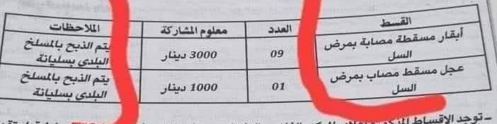 اعلان بيع لأبقار مصابة بالسلّ..عميد البياطرة يوضح ماذا يقول القانون وكيف يتم التصرف؟ (تصريح لـ”تونس الان”)