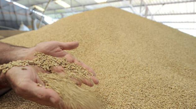 فرنسا تعتزم تزويد تونس باحتياجاتها من القمح اللين والشعير