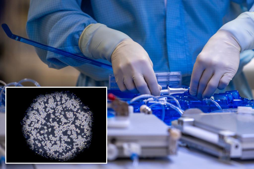 اكتشاف طريقة جديدة لتدمير 99% من الخلايا السرطانية