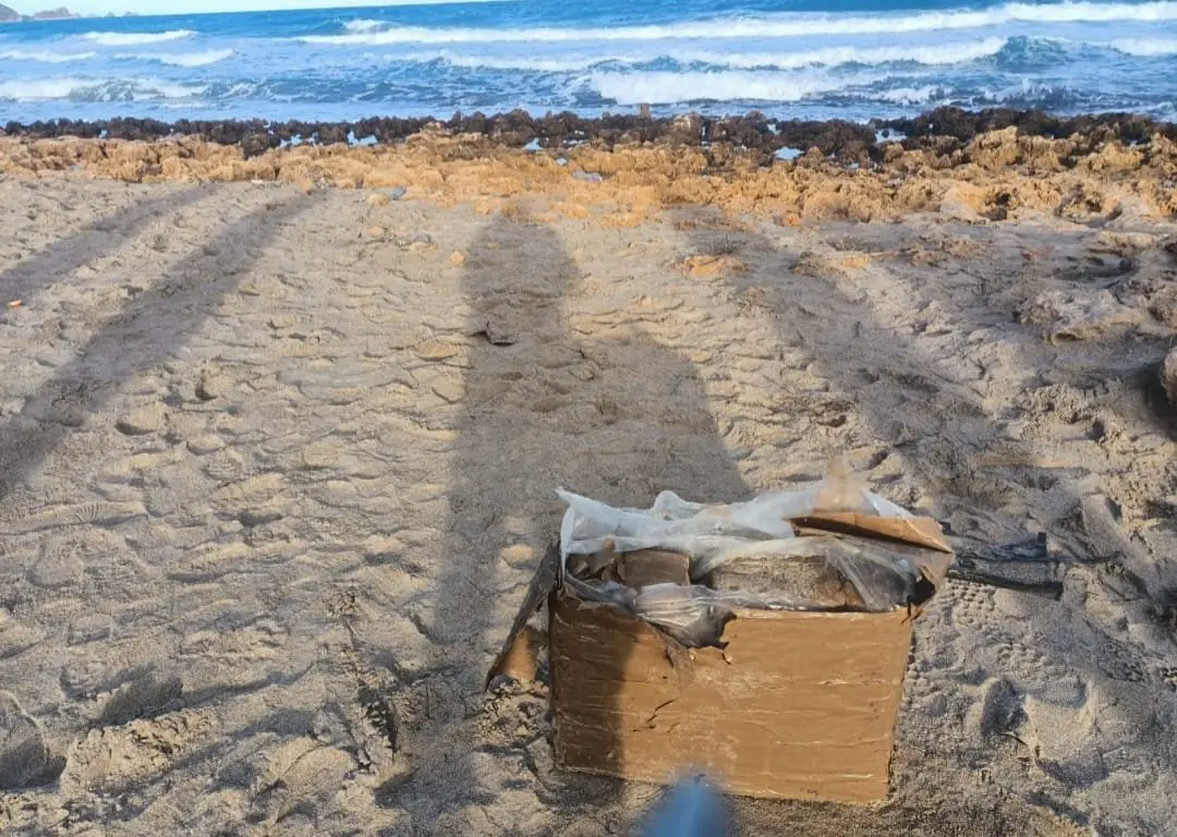العثور على كميات من “الزطلة” بشاطئ الهوارية