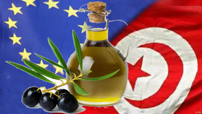 تقرير/ الزيادة في حصّة تونس من زيت الزيتون إلى أوروبا.. ايجابيات تخفي نقائص
