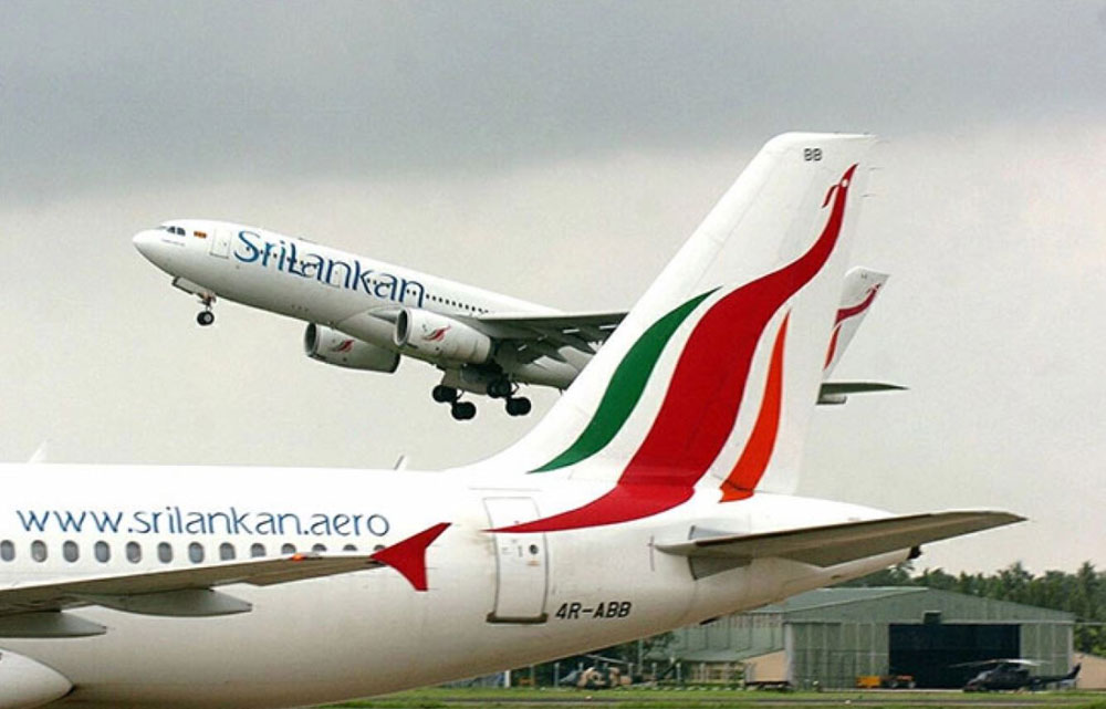 تعطل طائرة سريلانكية لأيام بسبب جرذ