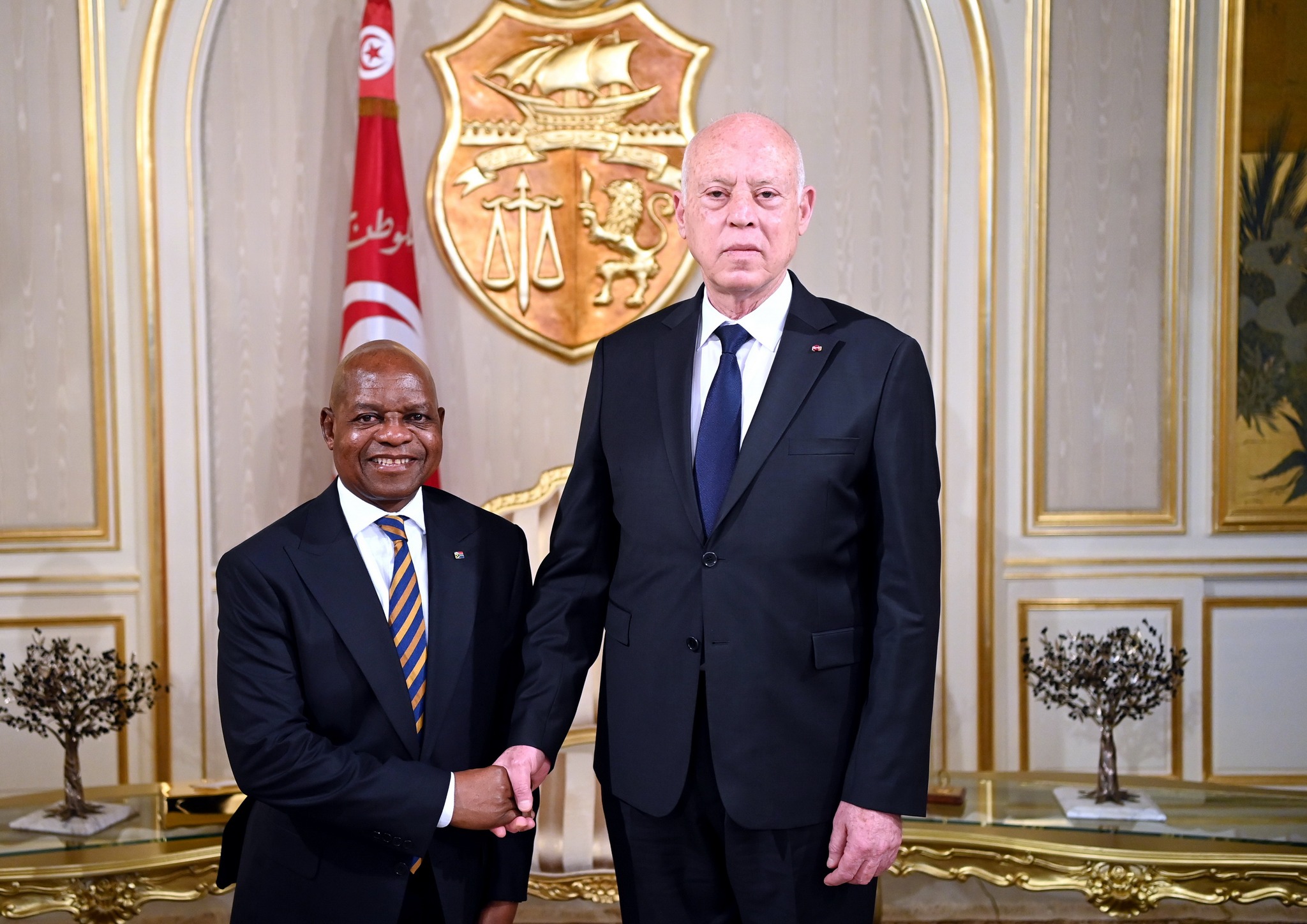 الرئيس يجدد الدعوة لرئيس جمهورية جنوب افريقيا لزيارة تونس