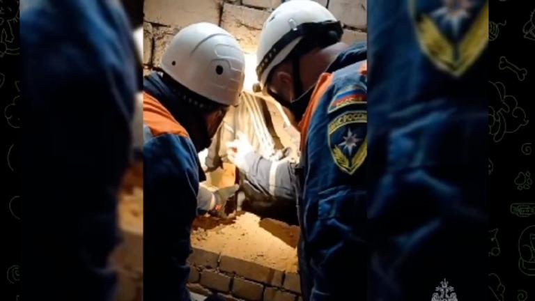 في لحظات تحبس الأنفاس، نجحت قوات وزارة الطوارئ الروسية في إنقاذ فتاة في مدينة سوتشي، كانت قد علقت 3 أيام في مكان ضيّق بين جداري الطابق السفلي لأحد المباني.