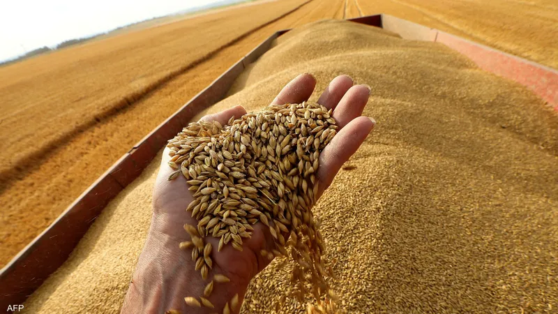 روسيا تمنح آلاف الأطنان من الحبوب المجانية إلى دول إفريقية