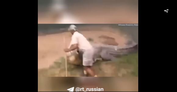 لحظات مرعبة.. تمساح ينقض على خبير زواحف (فيديو)