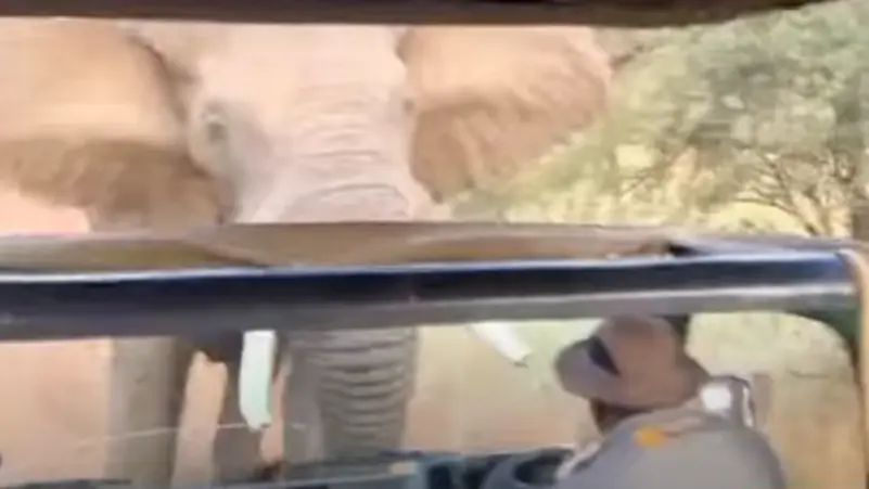 فيل غاضب يرفع حافلة سياح ويلقيها ارضا