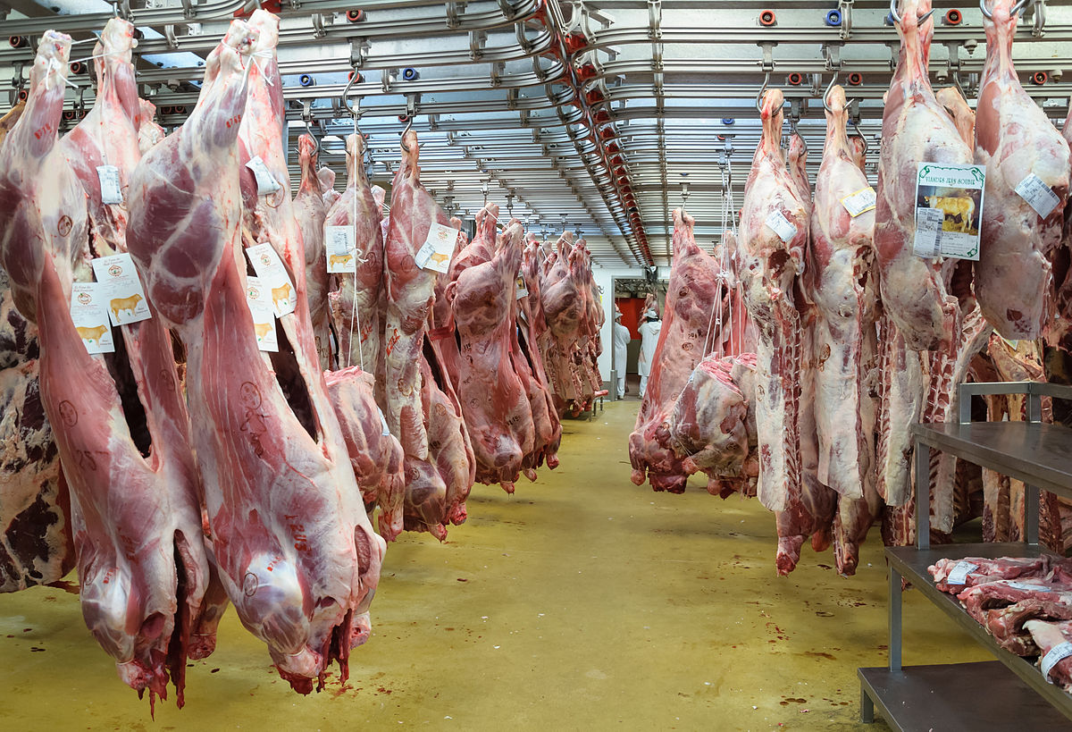 رئيس غرفة القصابين لـ”تونس الان”: لحم العجول المُستورد سيُوزع في النصف الثاني من رمضان