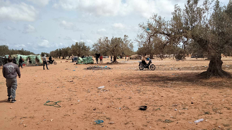 المسدي لـ”تونس الان”: بعض الافارقة عادوا لنصب الخيام بعد ازالتها