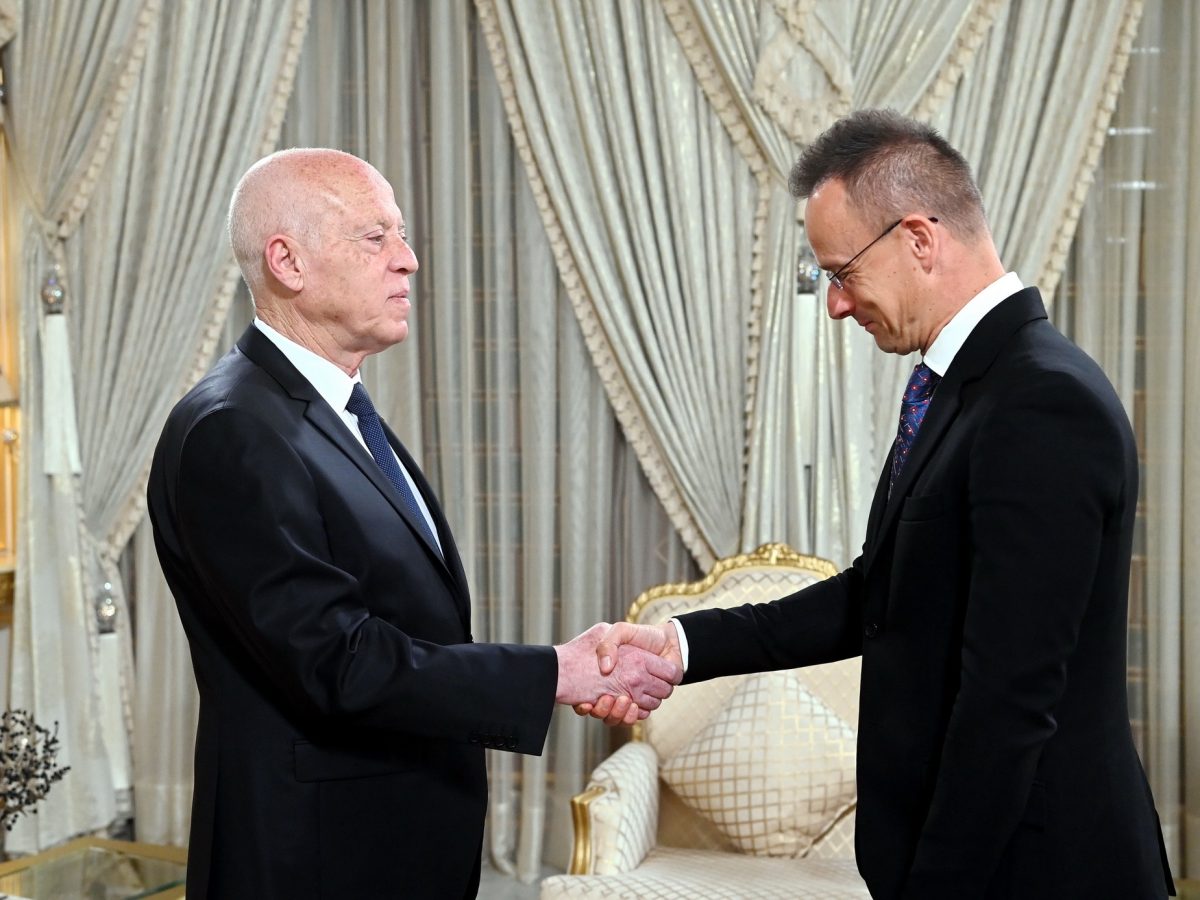 الرئيس يستقبل وزير الخارجية المجري