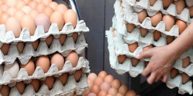 تحذير من بيض مهرب من الجزائر قد يحمل فيروس