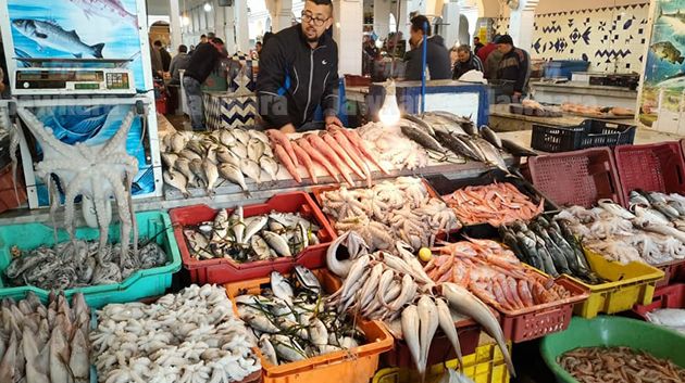 مجلس المنافسة يتعهّد بدراسة ظروف المنافسة في سوق الأسماك