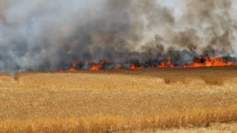سليانة/ حريق يأتي على 23 هكتار من القمح