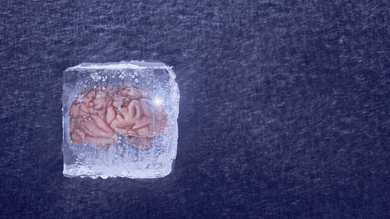 علماء ينجحون في إعادة دماغ متجمد إلى الحياة