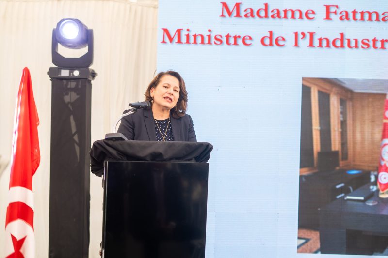 وزيرة الصناعة... العجز الطاقي في تونس مقلق وأثقل كاهل الدولة