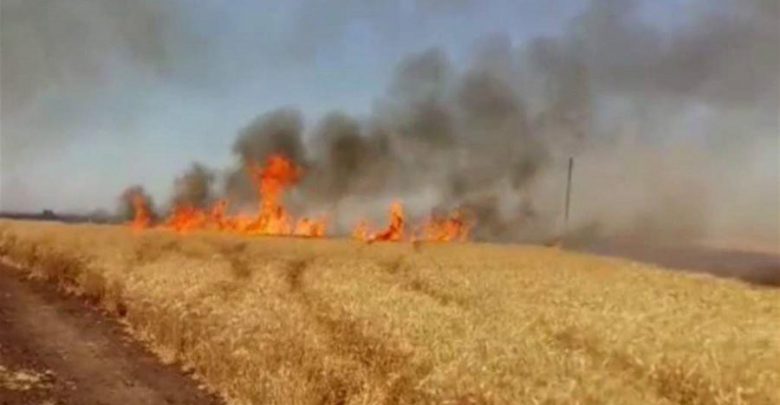 الحرائق تلتهم حوالي 20 هكتارا من حقول الحبوب
